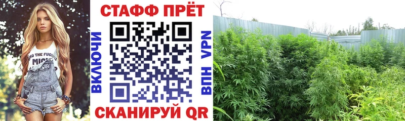 Какие есть наркотики Белово Cocaine  Мефедрон  Гашиш  Конопля 
