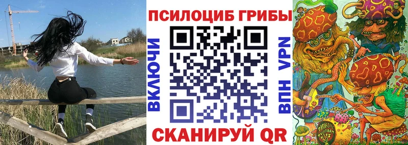 закладка Белово Псилоцибиновые грибы GOLDEN TEACHER